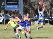 MCUE forward Flynn Collins takes an uncontested mark while umpire Symon Tardrew is collected by Narrandera defender Stirling Kable during the Goannas win at Mangoplah Sportsground.