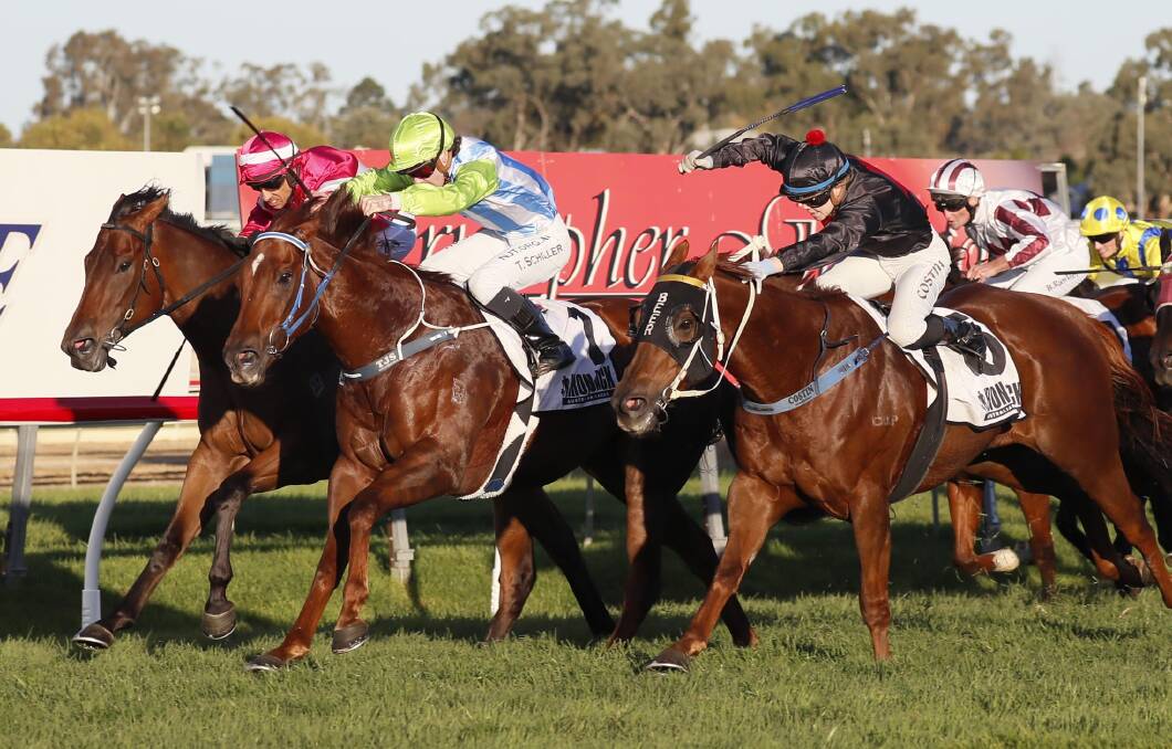 Front Page (middle) and Mnementh (right) fight out the finish to last year's Wagga Town Plate (1200m). Both are among the nominations for this year's edition. Picture by Les Smith