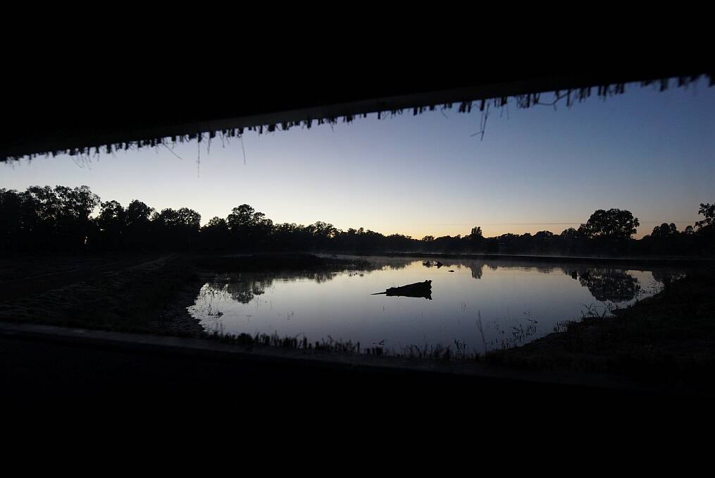 WINTER WETLANDS: Neil Holmes snapped this picture of the Marrambidya Wetland - an early morning view from the new hide, for the Winter Photo Competition. Enter www.dailyadvertiser.com.au..
