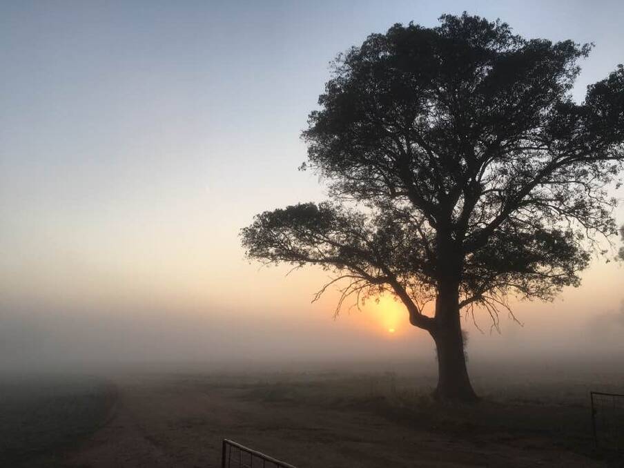 PHOTO COMP: Kathy Maslin entered this photo "winter sunrise at Walleroobie" in our Winter Photo Competition. Enter online at www.dailyadvertiser.com.au.