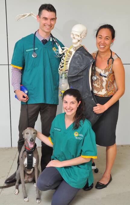 ON CALL: Notre Dame medical students Chris Wilson, Sofia Dominguez and Sylvia Lim, with mascot Pablo the whippet, will compete in Sunday's Gumi. Picture: Kieren L Tilly 