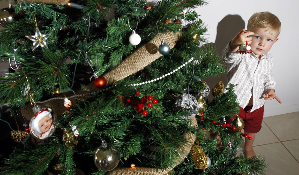 'TIS THE SEASON: Two-year-old Daniel Willis helps the family decorate their Christmas Tree with his favourite ornaments. Picture: Les Smith.