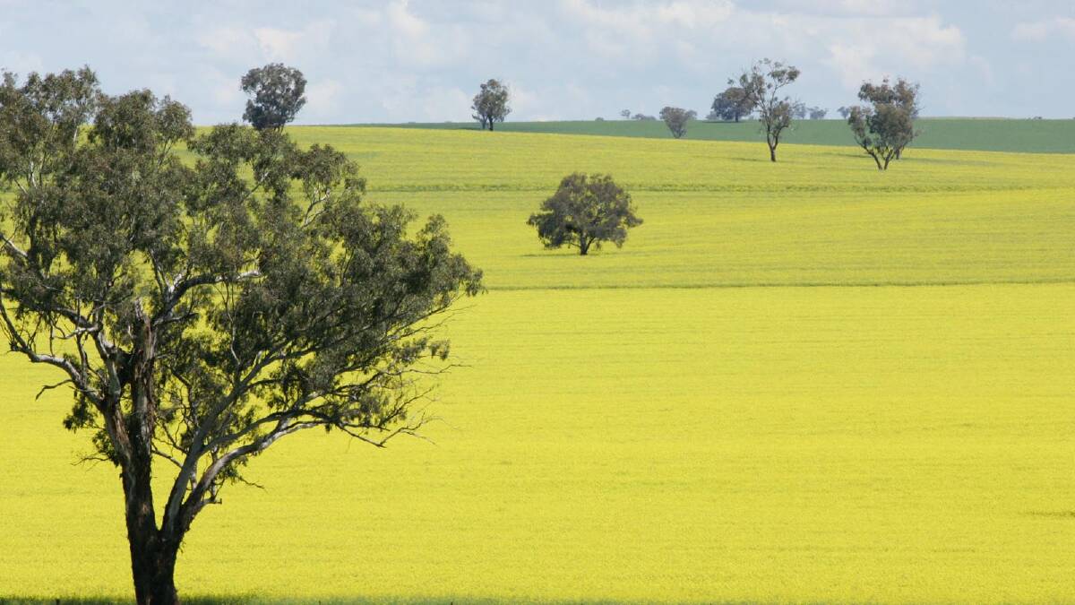 Opportunity knocking for the Riverina | Poll