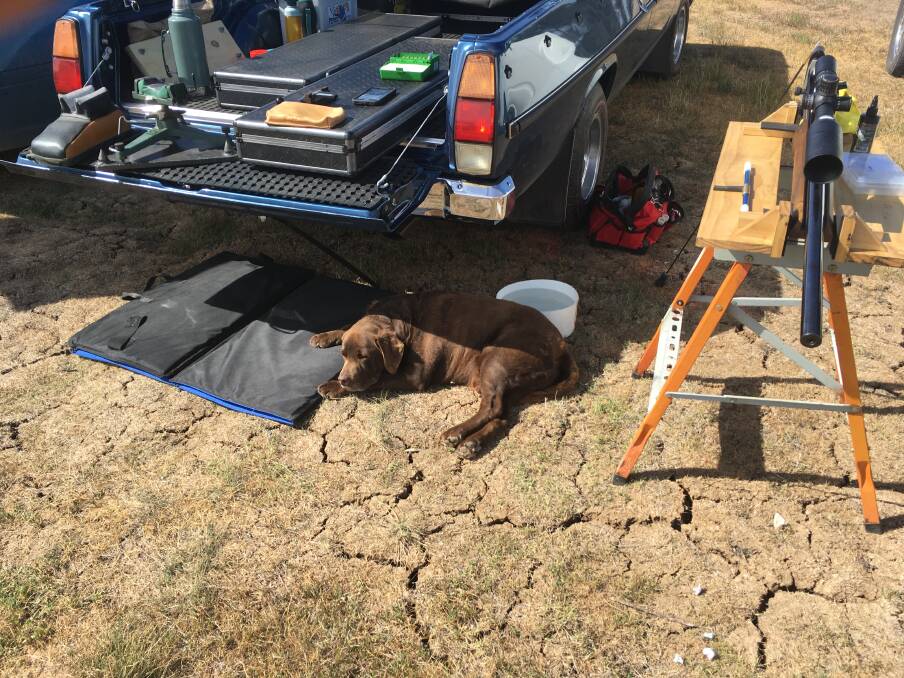 WATCHFUL: Rusty the Guard Dog kept a sharp eye on Rob’s equipment at last weekend's Explorers Rifle Club shoot. 