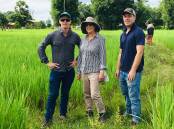 Australian volunteers Matt Champness, Prof Deirdre Lemerle, and Stephen Lang, working in Laos in 2019. Picture supplied
