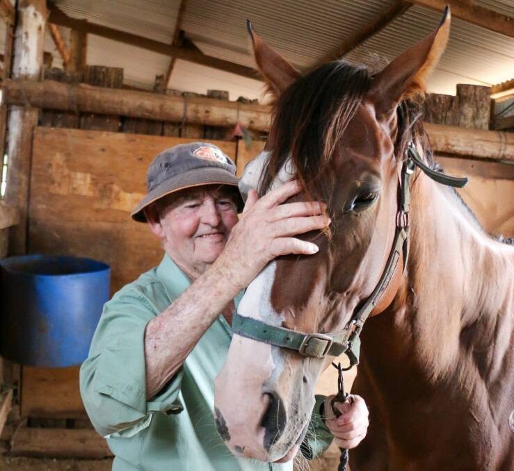 Long-time Leeton trainer Peter Clnact with filly, Migjet, in his stables at Sona Lodge. Picture by Kim Woods