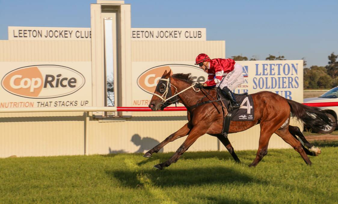 Wangaratta galloper Garros will have another tilt at winning the Leeton
Cup on Saturday over 1600m. He is pictured winning the 2023 edition. Picture by Kim Woods