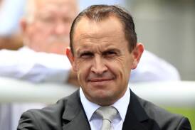 Champion Sydney trainer Chris Waller has nominated two horses in a bid to win his sixth Wagga Gold Cup on Friday. Picture by Jenny Evans