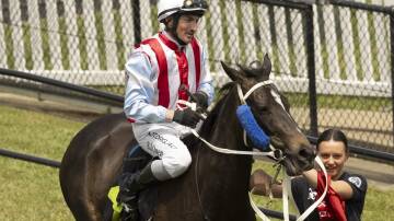 Canberra mare Burgundy Girl shapes as one of the better value bets on Wagga Town Plate day, according to The Daily Advertiser sports editor Matt Malone. Picture by Gary Ramage