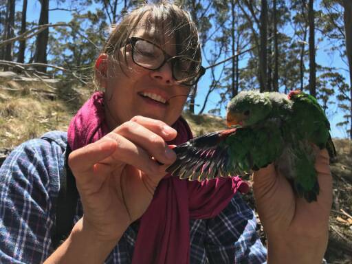 Charles Sturt University researcher Dr Maggie Watson with a swift parrot.