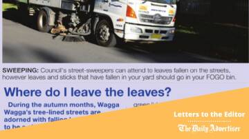Central Wagga's CBD leaf pile-up could be handled better, argues today's correspondent. 