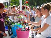 Wagga's Food and Wine Festival has run its course, with organisers cancelling the once-annual highlight of the city's calendar. Picture from file