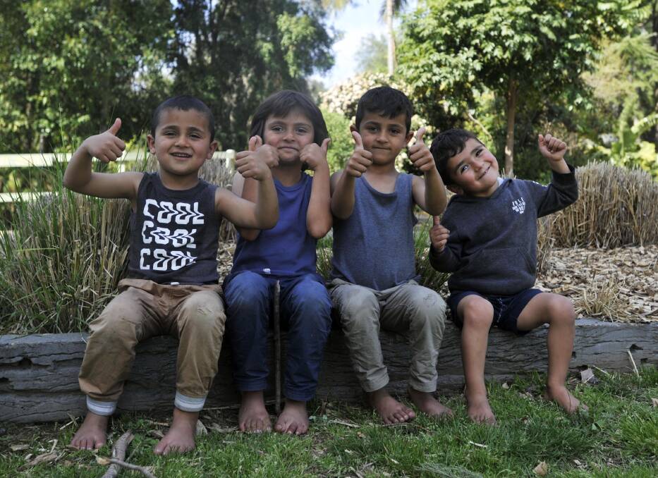HOLIDAY TIME: Ayhan, 7, Ayham, 6, Ayhab, 5 and Ayad Hussaen, 4, have a ball at the Botanic Gardens last week. Picture: Chelsea Sutton