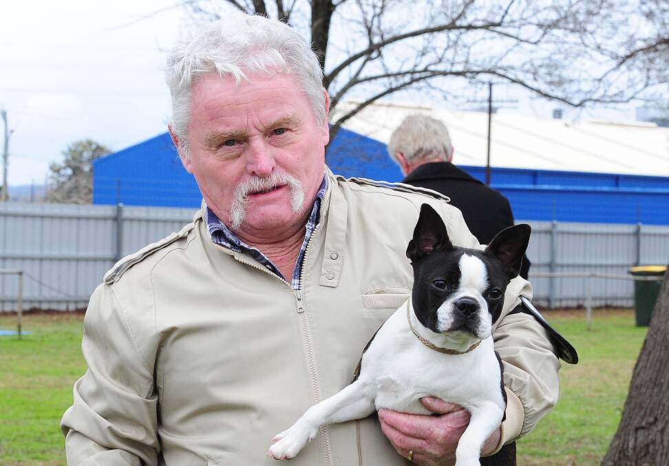 MAN'S BEST FRIEND: Bob O'Brien with a Boston terrier called Maddy at the dog show at the showground on Friday. Picture: Kieren L Tilly