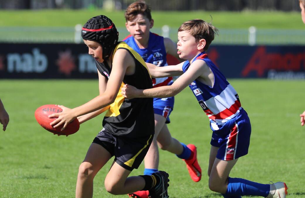 CATS V DOGS: Wagga Tigers' Angus Lee and Turvey Park's Eddie Freemantle during the under 11 AFL at Robertson Oval at the weekend. Picture: Les Smith