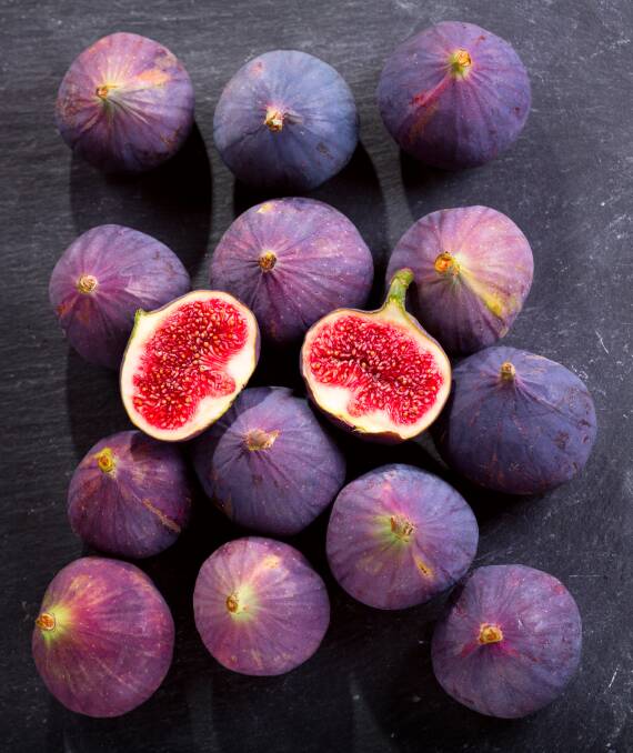 Figs = fertility. 
