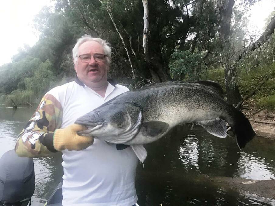 NICE ONE: David Tulk with a solid-looking cod from the Murrumbidgee River. Send your fishing pictures to craig @waggamarine.com.au or 0419 493 313. Picture: Contributed