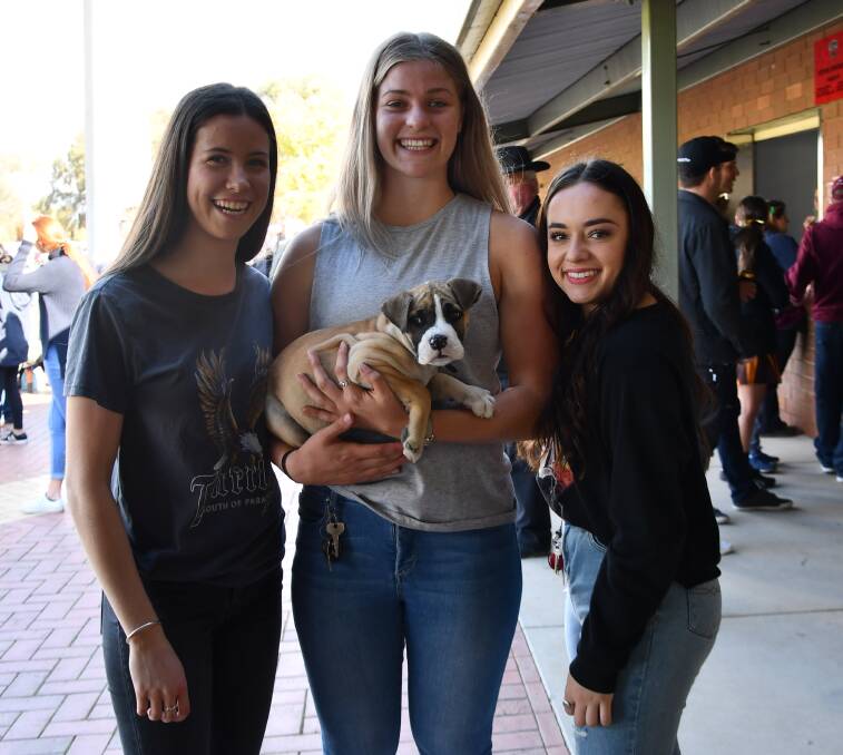 PUPPY LOVE: Henty's Vashti Muller with her new puppy Tilly and friends Saige Carmody and Corbie Waldale. Picture: Lorri Roden