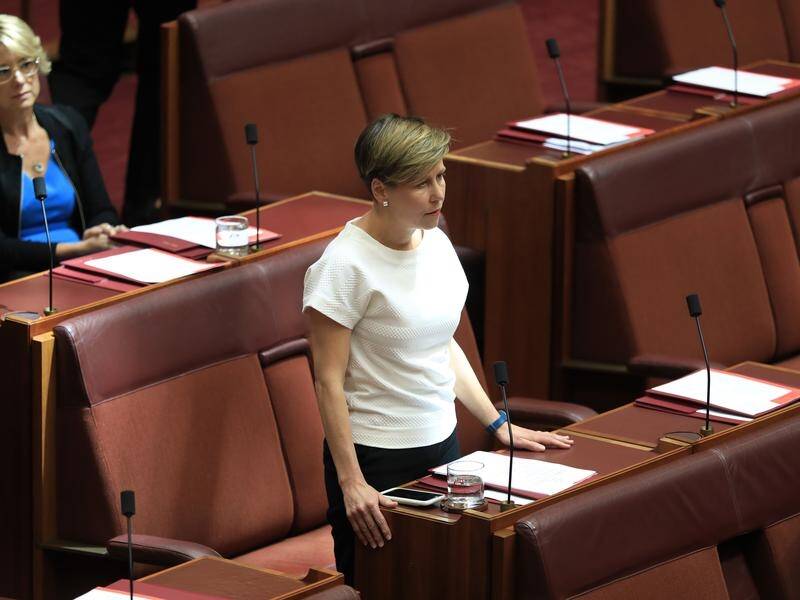 Labor Senator Jenny McAllister wants greater scrutiny of Australia's intelligence agencies.