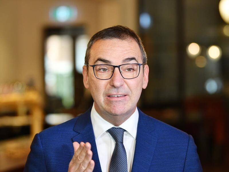 Premier Steven Marshall wants air-tight systems before exemptions are given for overseas travellers.