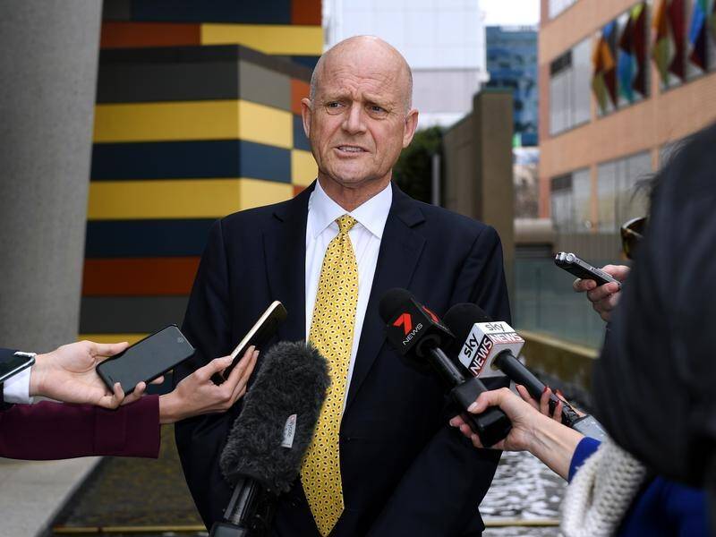 Senator David Leyonhjelm has filed his defence to Senator Sarah Hanson-Young defamation lawsuit.