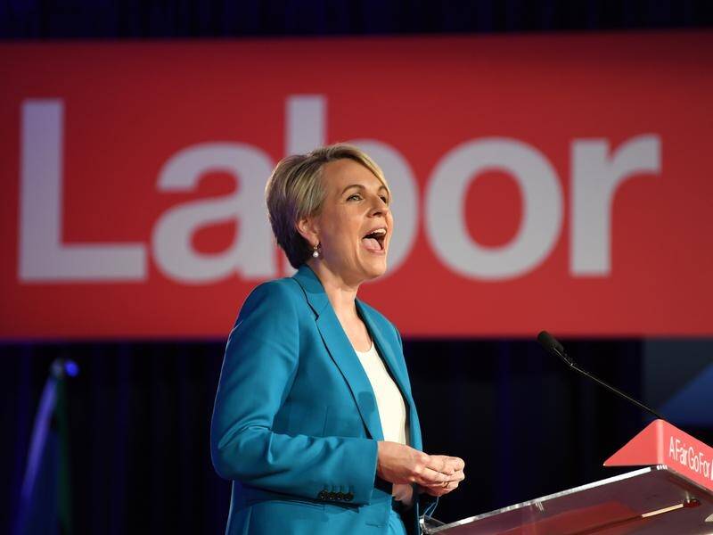 Tanya Plibersek says she is considering whether to stand for the Labor leadership.