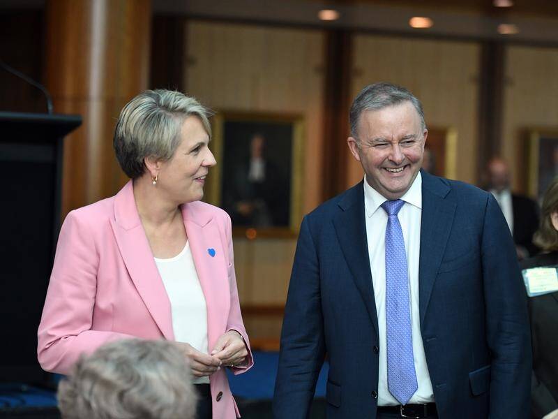 Tanya Plibersek and Anthony Albanese are among the possible contenders for the Labor leadership.