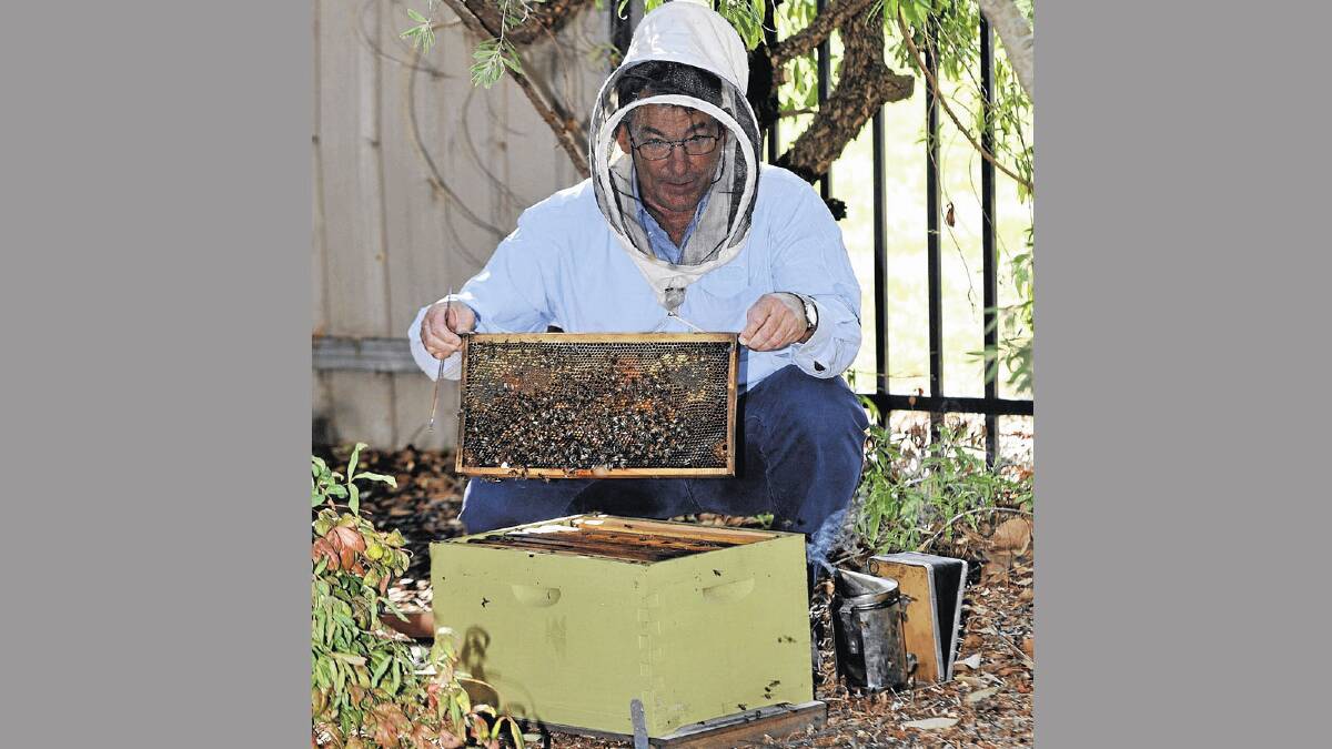 Wagga man Malcolm Bauer is establishing an amateur beekeeping club in the city.