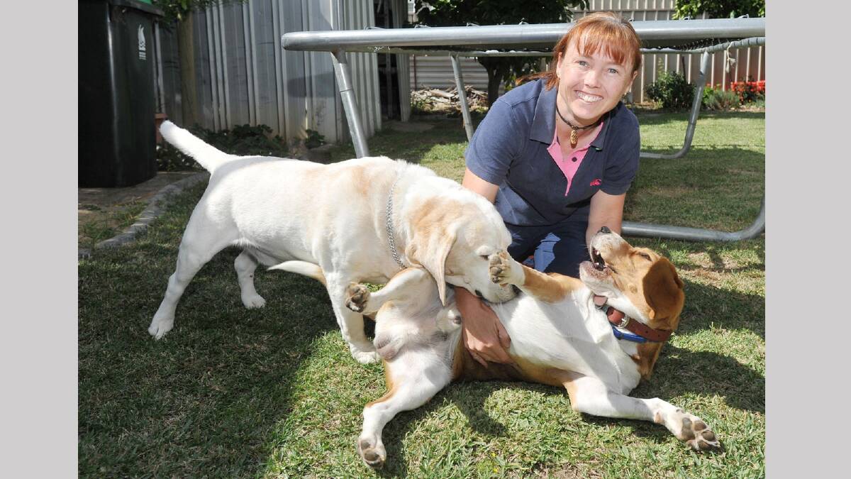 Riverina and District Animal Rescue volunteer foster carer Tanya Lyons with two dogs she has in her care. She is hoping they will soon be rehomed. Picture: Alastair Brook